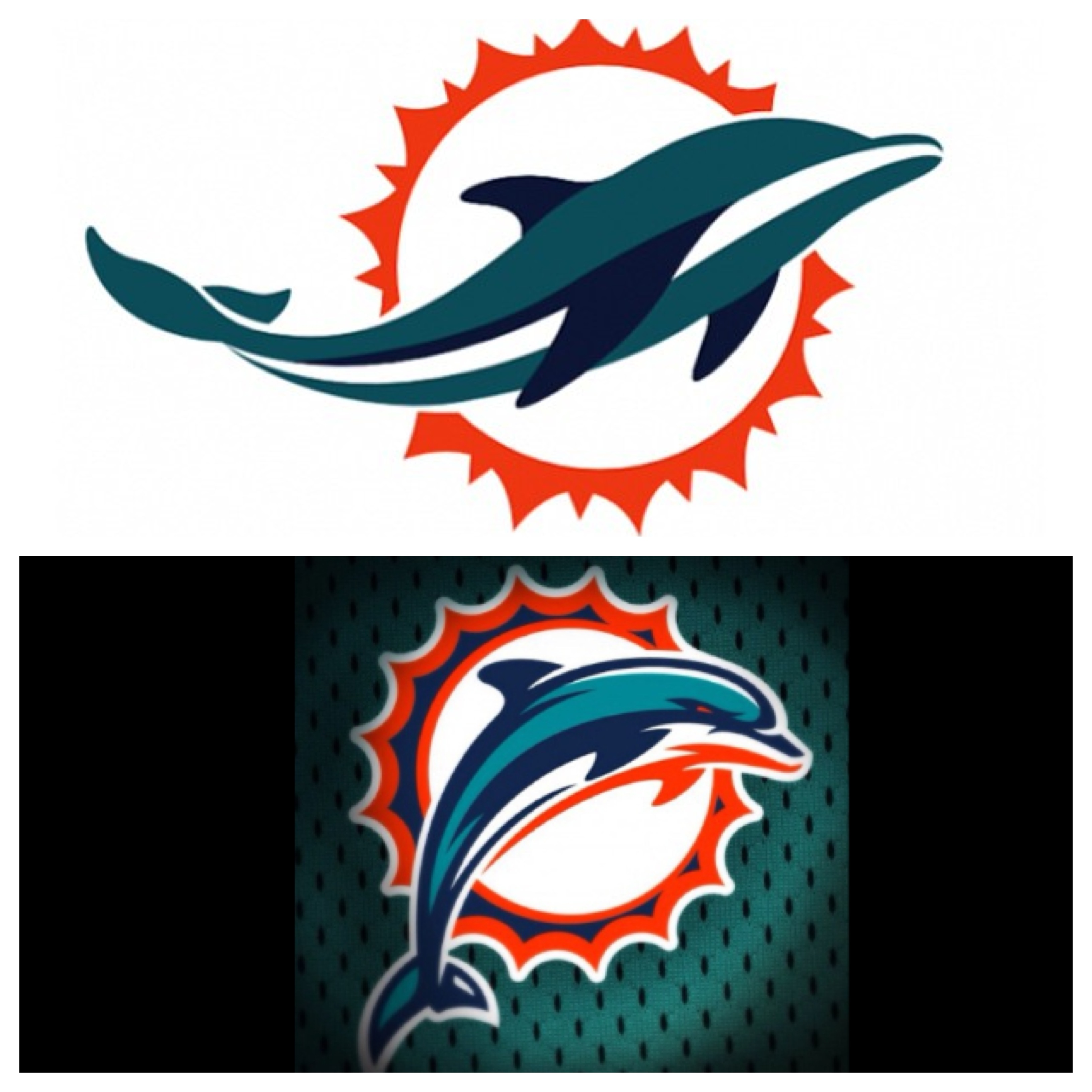 dolphins2013